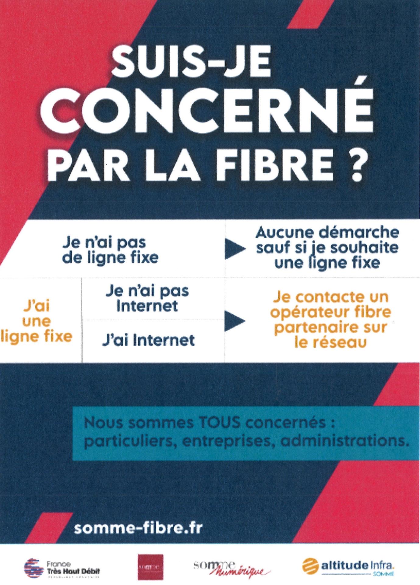 Fibre 3