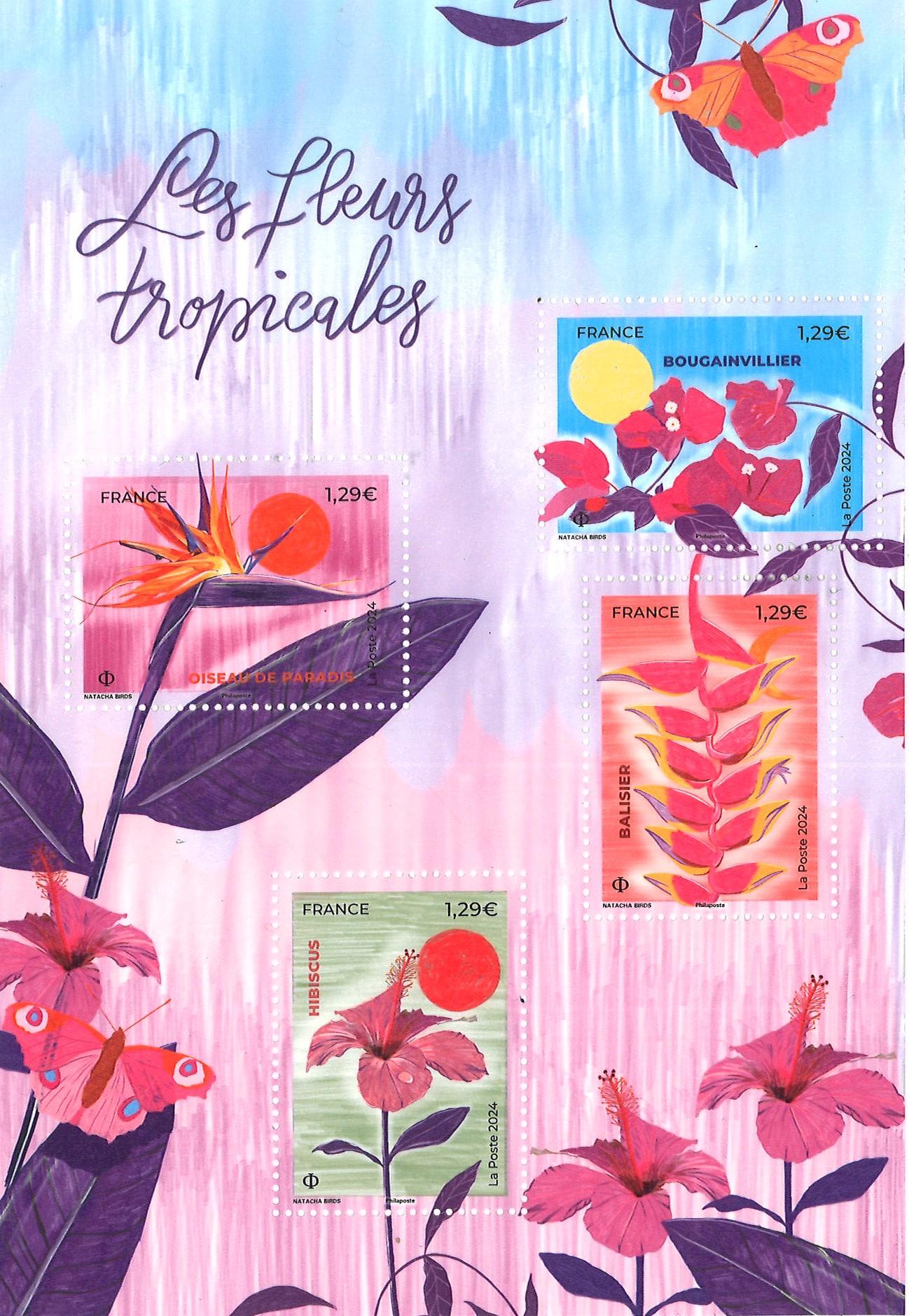 Fleurs tropicales