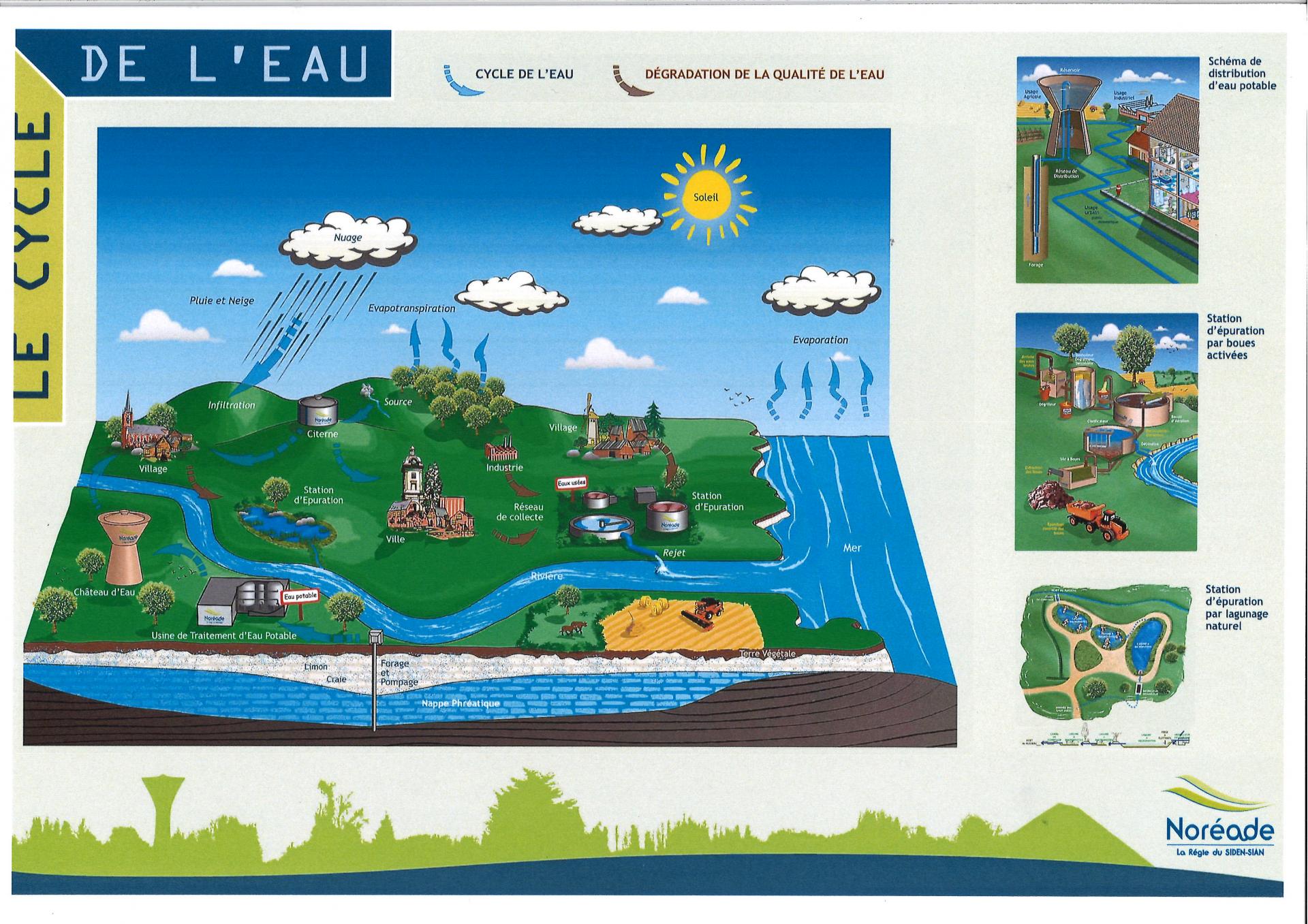 Le cycle de l'eau