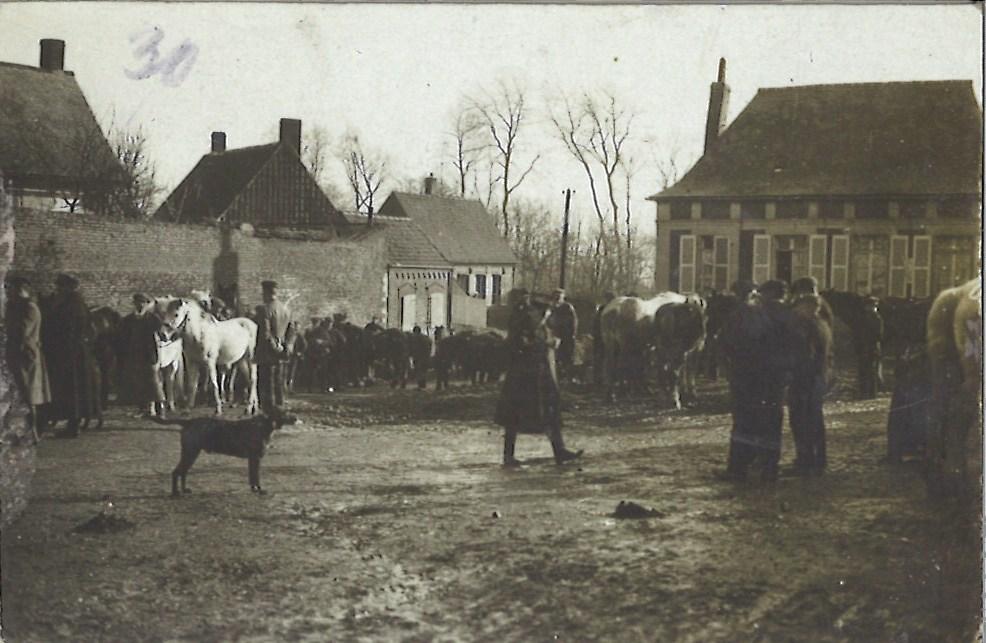 Photos avec chevaux sur la Place