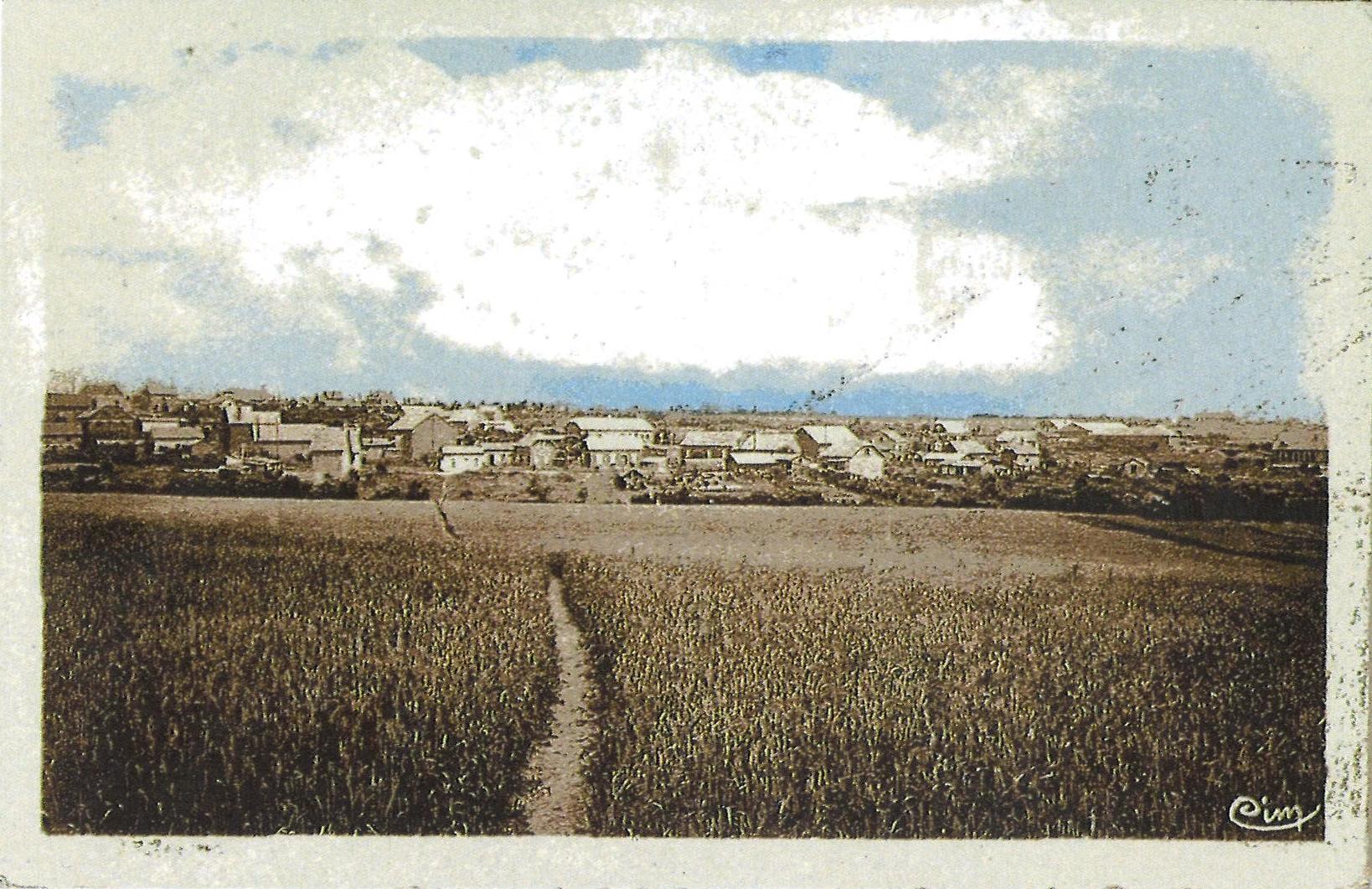 Vue des champs sous le ciel bleu